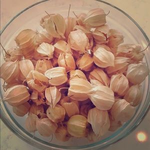 Meet your Posher, Bela